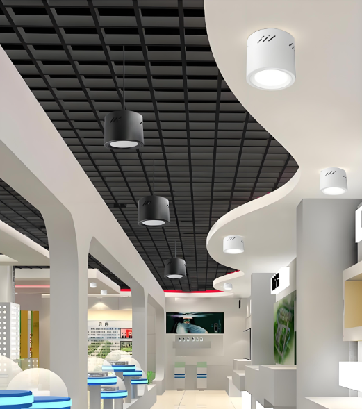 明裝筒燈 案例3